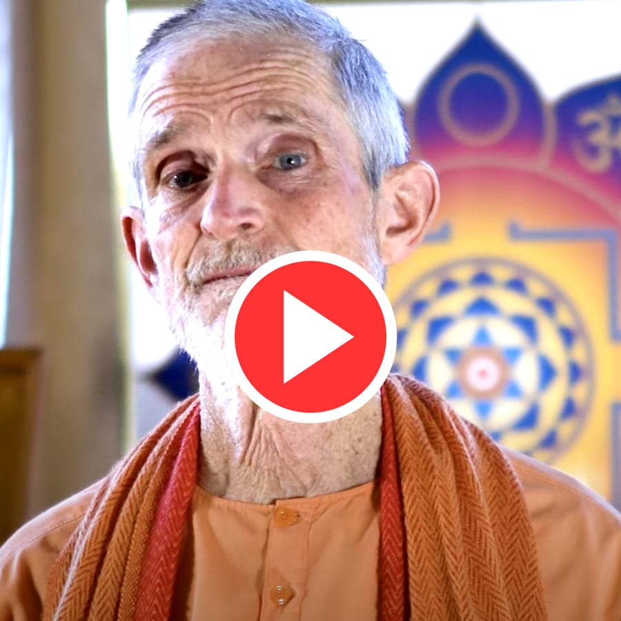 Integral Yoga Promos Integral Yoga Promos